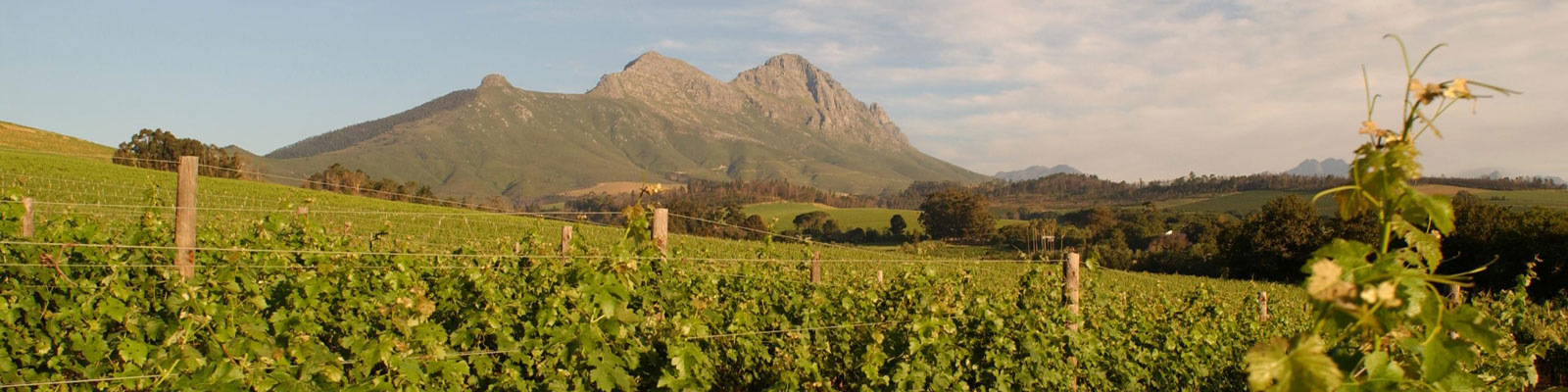 We zijn in verlof van Donderdag 15 tem Zondag 25 augustus !
